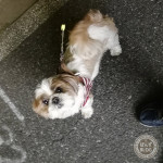 夜散歩、きもちいいね！