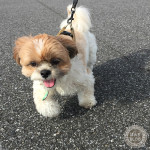 良い笑顔が撮れました