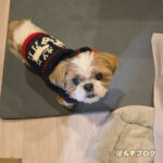 真冬並みに寒いです