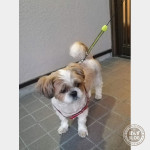 日が落ちてから。