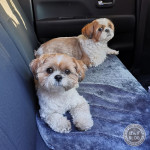 ちょっとだけでも。